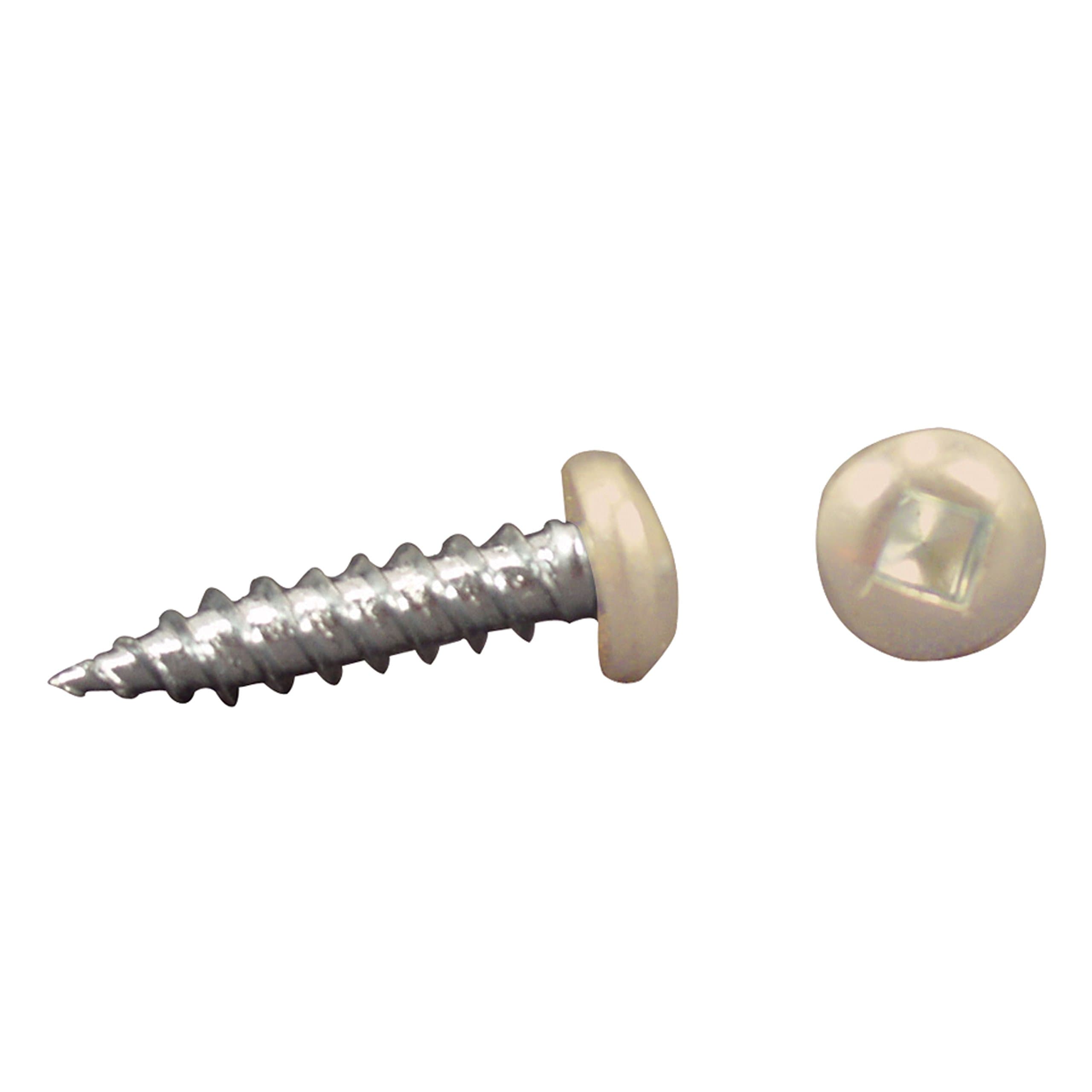 AP Products 012-PSQ50 BL 8 X 1- 1/4 Black Pan Head Square Recess Screw - Pack of 50