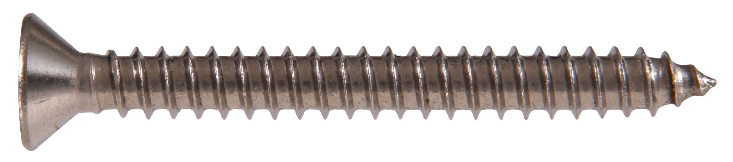 Hillman 823492 10X1 SS SHT Metal Screw